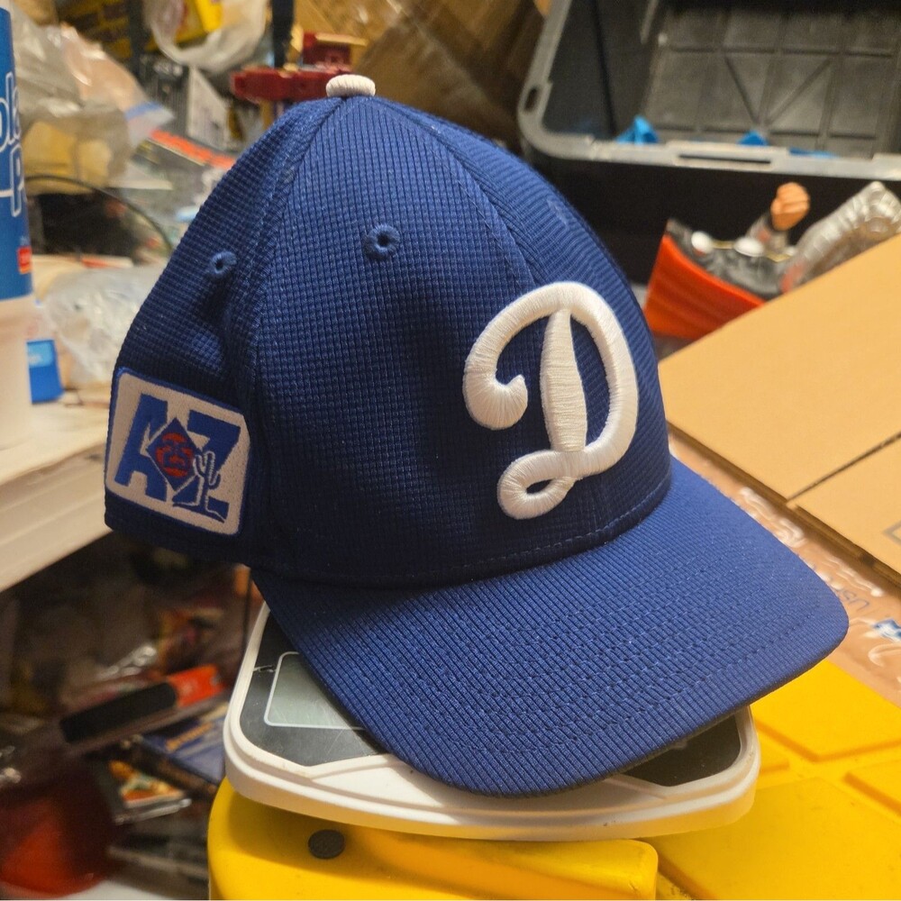 Los Angeles Dodgers New Era Royal 2025 Spring Training 59FIFTY Snapback